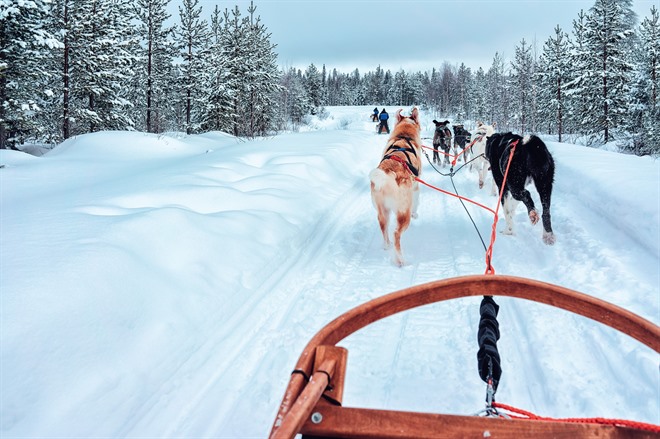 Dogsledding Camp Ripan