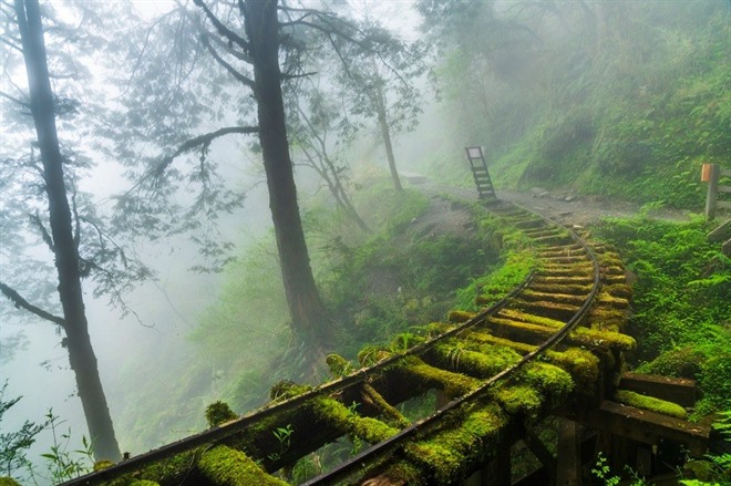 Jancing Historic Trail in Yilan Taipingshan National Forest Recreation Area