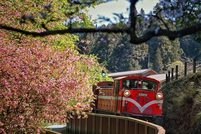 Alishan Forest Railway