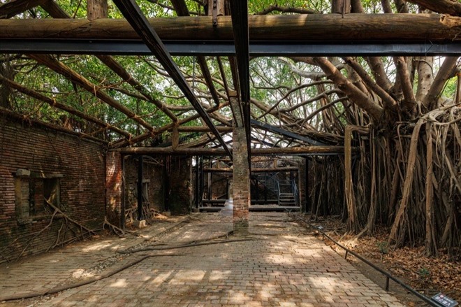 Anping Tree House