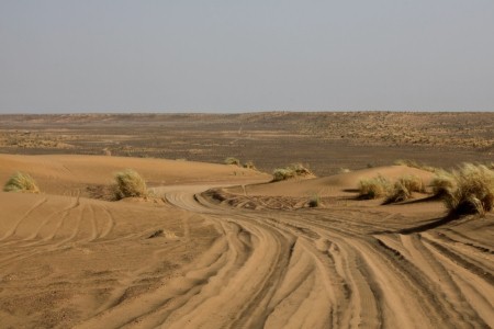Karakum Desert