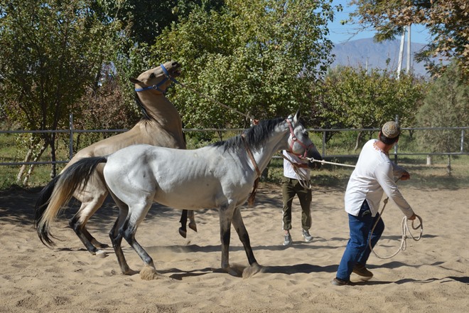BALKANABAT TO ASHGABAT