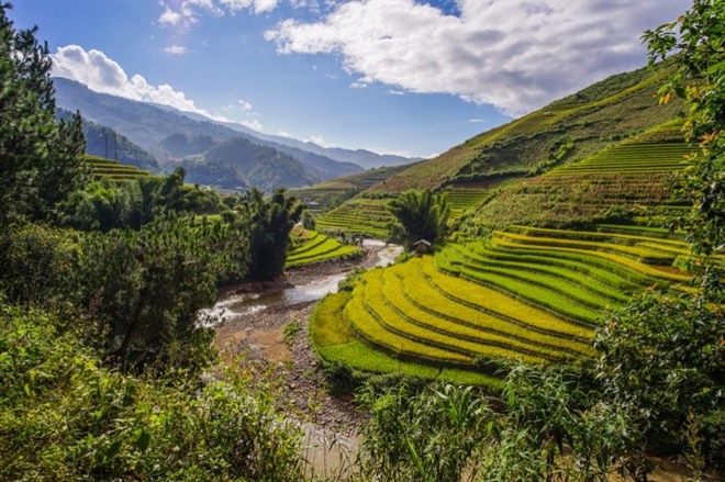 MaI Chau