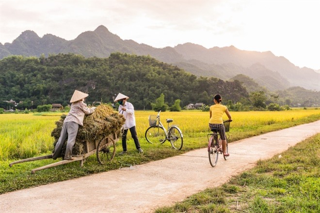Mai Chau