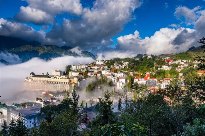 Sapa