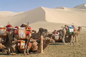 Along the Silk Road of China 4