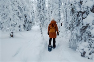 Snowshoeing