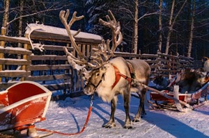Arctic Aurora Express: Norway to Lapland 8
