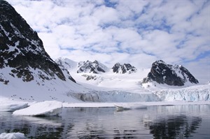 Arctic Cruises - Polar Bears & Pack Ice Cruise - M/V Plancius 2