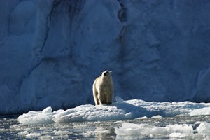 Arctic Cruises - Svalbard, East Greenland & Iceland 3