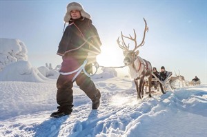 Reindeer sleigh ride