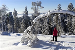 Snowshoeing