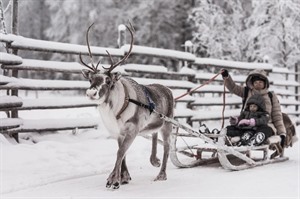 Reindeer sleigh ride