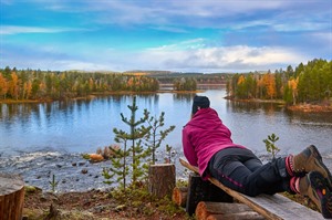 Autumn colours at Arctic Retreat