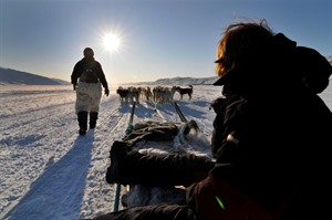 Dog sledding in Kangerlussuaq