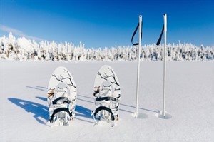 Snowshoes