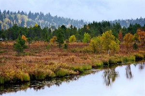 Autumn in Lapland