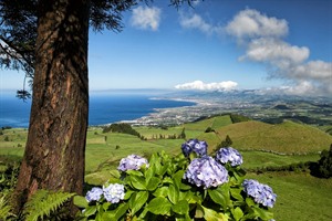 Beautiful Sao Miguel Island, Azores