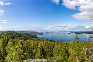 Koli National Park