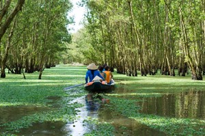 Tra Su Melaleuca Forest