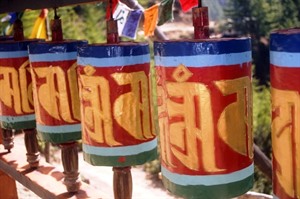 Bhutan: Mount Jomolhari Trek 8