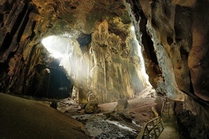 Gomantong Caves