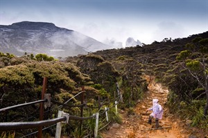 Trekking in Kinabalu Park