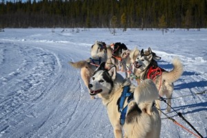 Bristol to Tromsø Winter Escape 7
