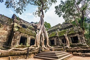 Ta Prohm Temple, Angkor, Cambodia