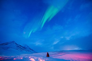 Northern lights over Svalbard