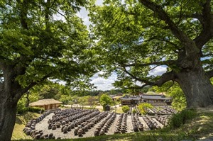 Hahoe Folk Village