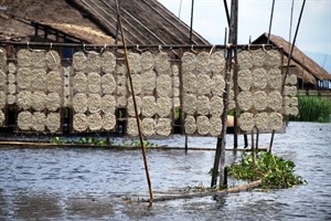 Rice paper drying on Inle Lake