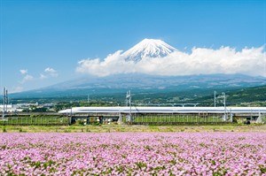 Bullet train