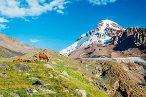 Discover Armenia & Georgia 5