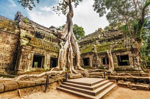 Ta Prohm Temple, Angkor Wat