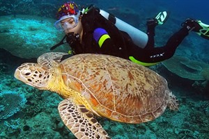 Coron Divers