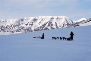 Dogsledding