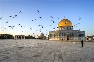 Inside Palestine & Israel Group Tour 2