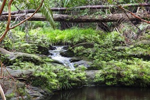 Tajor Waterfall in Bako National Park