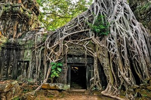 Essential Vietnam & Cambodia Group Tour 6