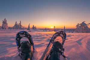 Snowshoeing