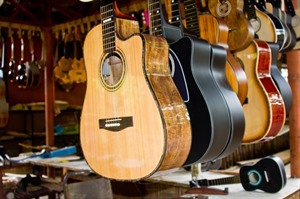 Alegre Guitar Factory