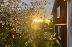 Explore Dalarna- A Family Self-Drive Adventure 6