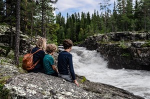 Explore Dalarna- A Family Self-Drive Adventure 7