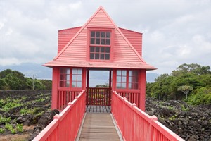 Wine Museum, Pico