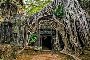 Express Cambodia Group Tour 6