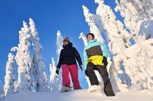 Snowshoeing