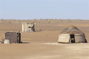 Kyzyl Kum Desert