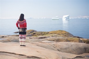 Summer season in icefjord.