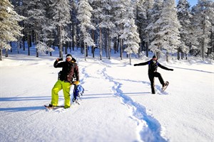 Snowshoeing